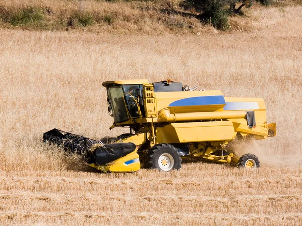 Harvesting machine of the wheat