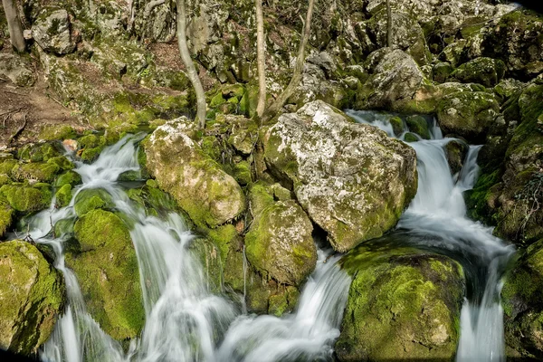 Source of the river that makes waterfalls over rocks covered wit