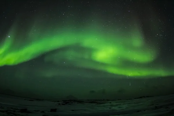 Arctic winter in south Spitsbergen