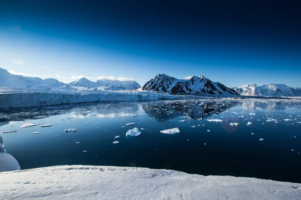 Arctic spring in south Spitsbergen