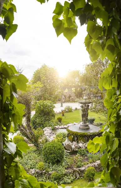 View of the garden from the window.