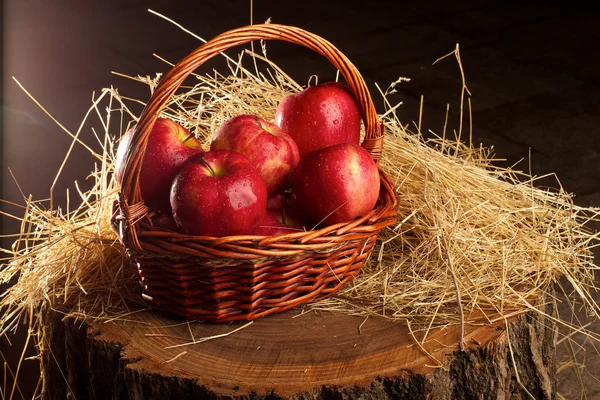 Basket with apples lying in the hay