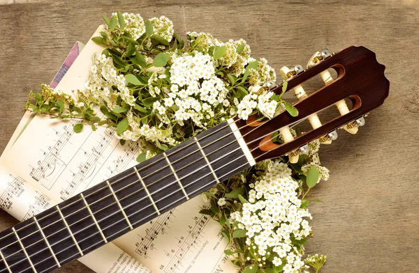 Neck of the guitar, notes and white flowers