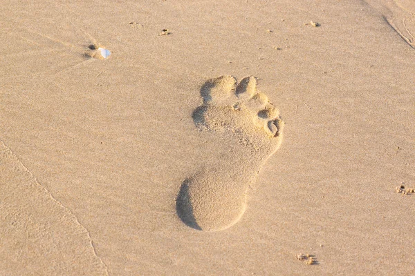 Right foot mark on beach  in morning