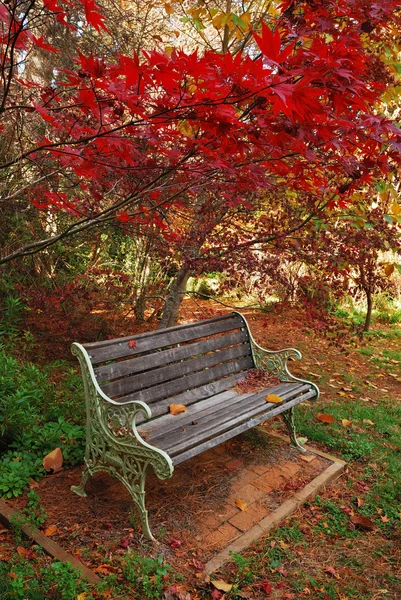 Single autumn park bench