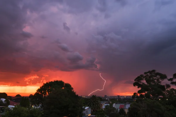 Sunset thunderstorm view from park over the city with bolts and