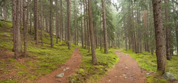 A single alpine path splits in two different directions. It\'s an autumnal cloudy day.