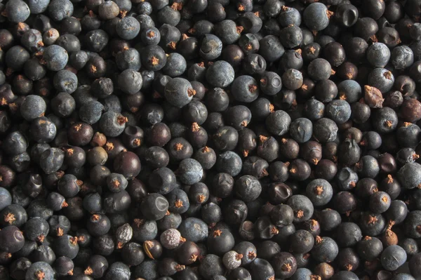 Fresh Juniper berries texture