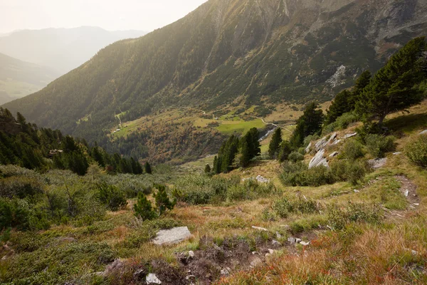 Fall scene at fall from an Italian mountain valley. No people ar