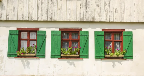 Brown windows with green shutters