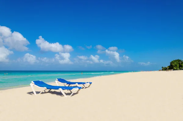 Blue sunbeds on sandy Caribbean beach