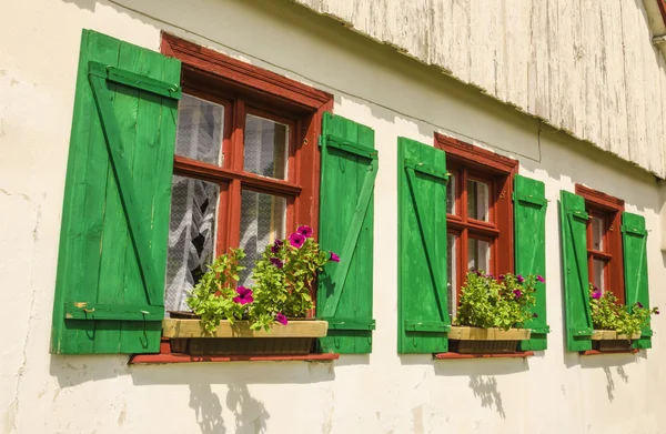 Brown windows with green shutters