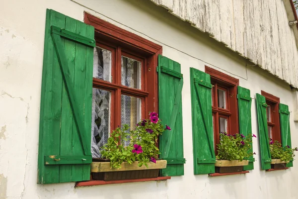 Brown windows with green shutters