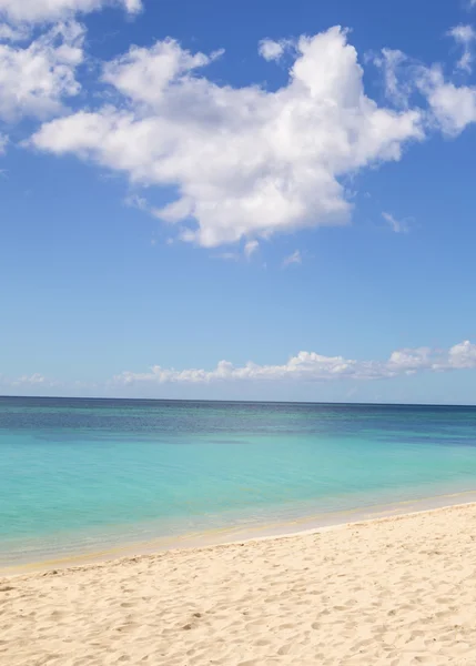 Beach with gold sand and blue sky