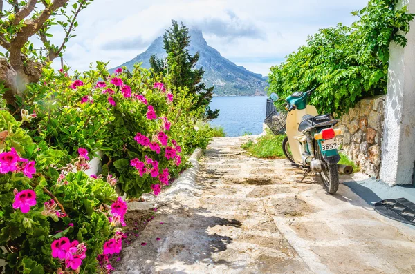 Flowers and scooter parked on road Greece