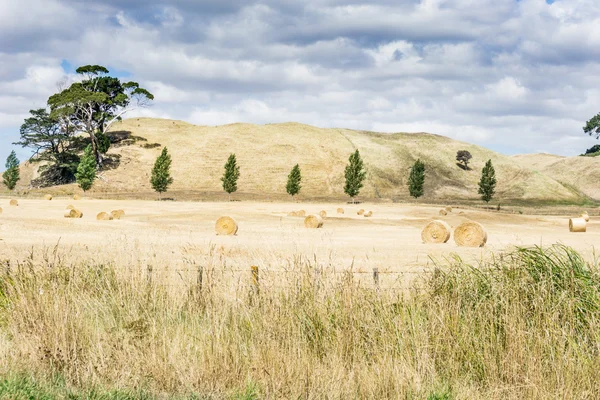 Farm land along road with rolls of cut  and baled hay