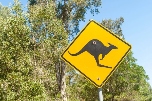 Black kangaroo on yellow reflective  warning sign
