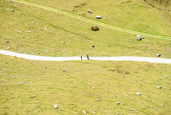 People on walking track from high point of view