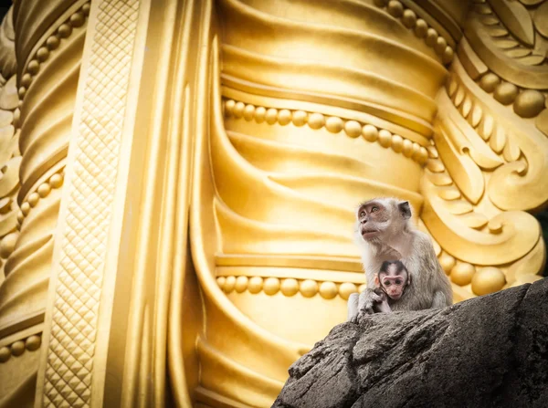 Monkeys sitting on rock at base of golden statue Malaysia
