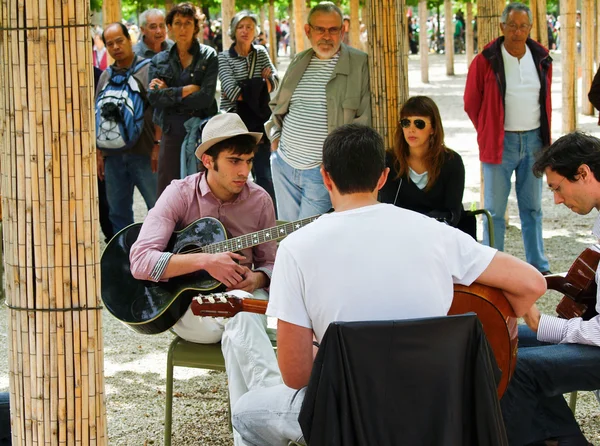 Musician in Paris park with people gathering around.