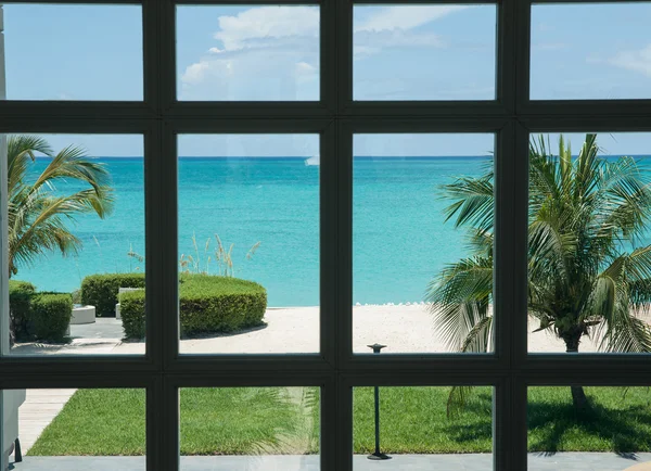 Tropical view through mulit-paned window.