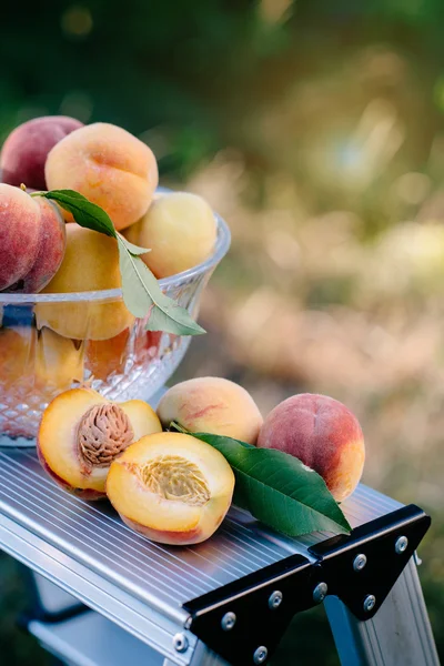 The basket of ripe, juicy peaches placed on the table