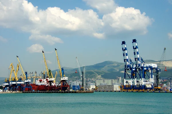 Marine cranes in the background of the mountains