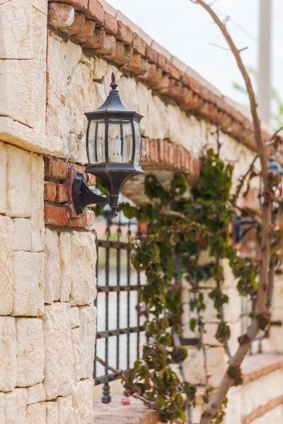 Drago in ferro battuto con lanterna, decorazione sul muro di ... Decorazione Muro recinto