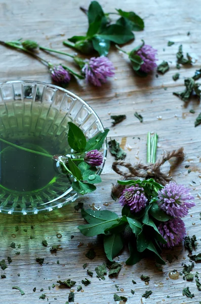 Natural medicine - red clovers