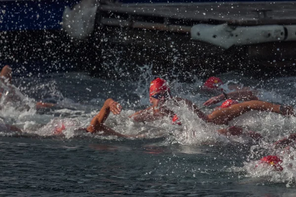 CHRISTMAS DAY HARBOUR SWIM 2015, BARCELONA, Port Vell - 25th December: swimmers race on 200 meters distance