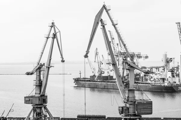 Cargo ship and Industrial cranes in Marine Trade Port.