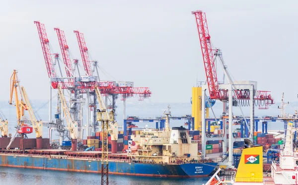 Dockyard cranes load heavy Bulk Carrier