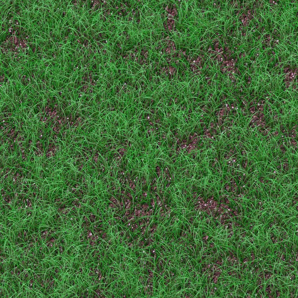 Seamless texture grass closeup background.