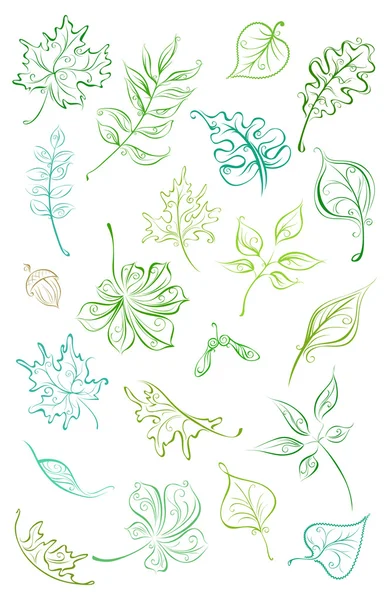 Vector set of linear leaves.