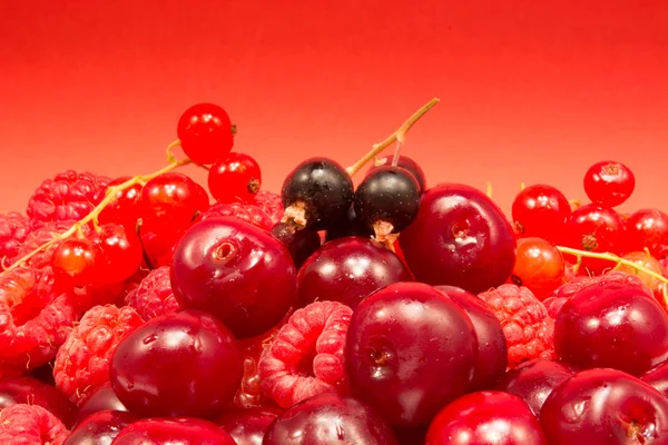 Red fruits on red background