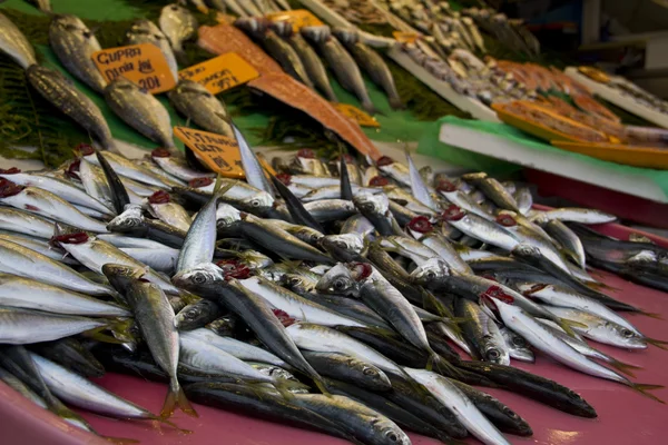Anchovies on fish market close up