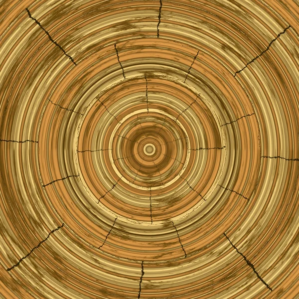 Cross section of the tree. Close-up wooden cut background. Slice
