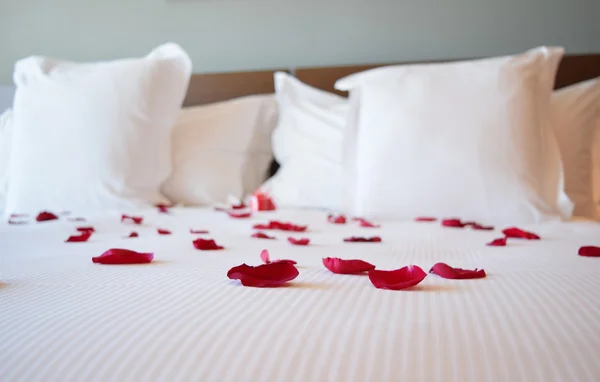 Saint valentine\'s day, white large bed with the rose petals, red rose petals on the big bed