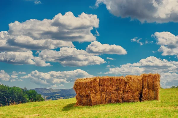 A stack of hay bales in a rural landscape