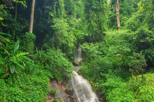 Waterfall in jungle at Chiang Rai, Thailand.