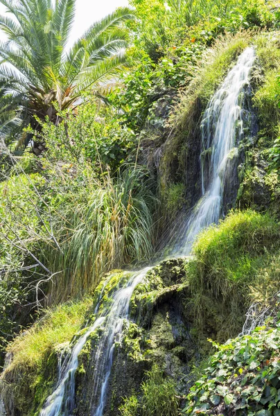 Waterfall in the meditation Garden in Santa Monica, United States.
