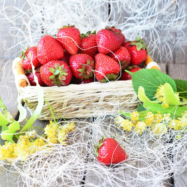 Red strawberry in straw basket with linden blossom
