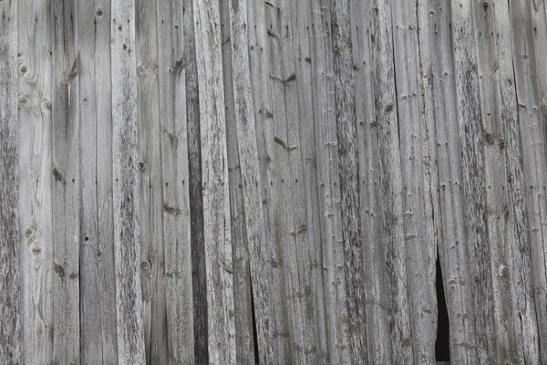 Texture of the old gray wood