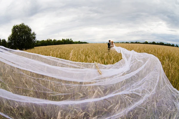 Bride and groom in a field with a long white veil