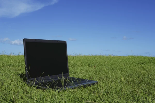 Laptop computer on green grass