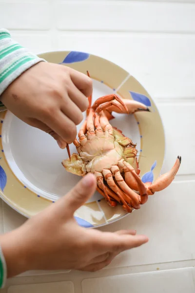 Top view picture of hands and red cooked crab on plate. Exotic vacation.
