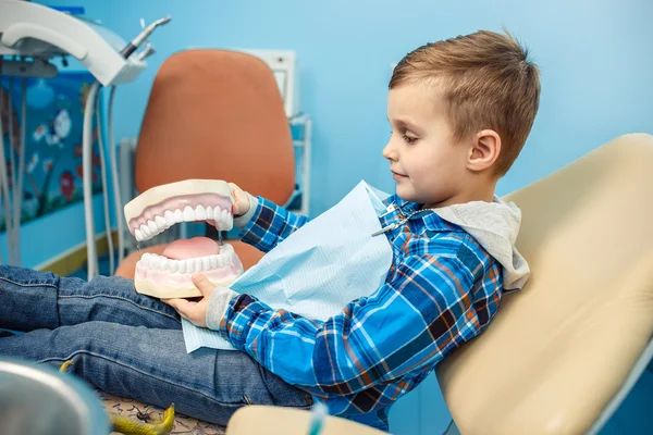 Little boy take the denture on his hands. An action is in the cabinet of dentist