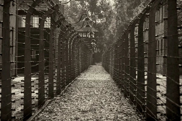 Electric fence in Nazi concentration camp Auschwitz I, Poland