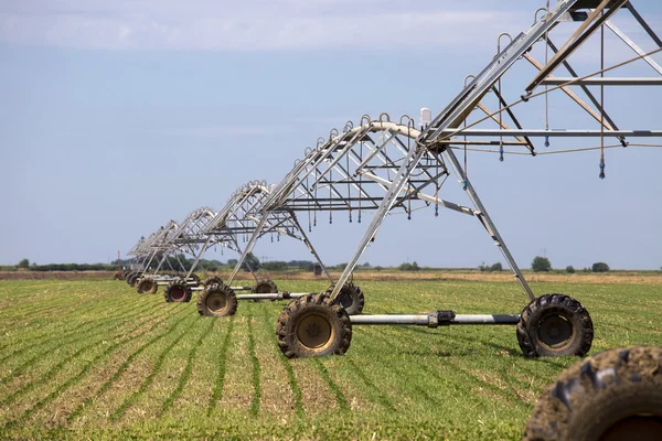Sprinkler irrigation system on agriculture field