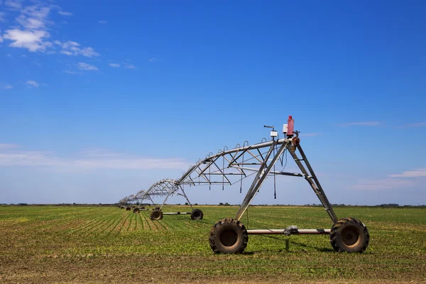 Sprinkler irrigation system on agriculture field